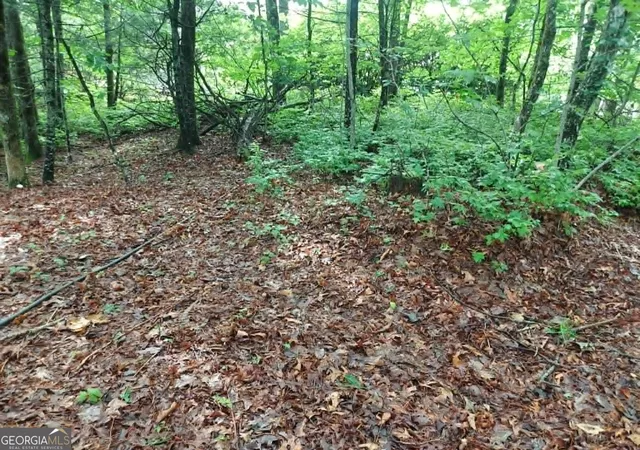 5th image of 0 Lot 3 Jiminy Peak, Sky Valley, GA 30537 | MLS# 10805565