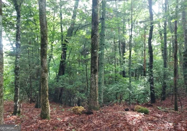 6th image of 0 Lot 3 Jiminy Peak, Sky Valley, GA 30537 | MLS# 10805565