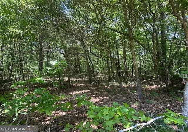 1st image of 0 Mize Rd, Commerce, GA 30529 | MLS# 10739522