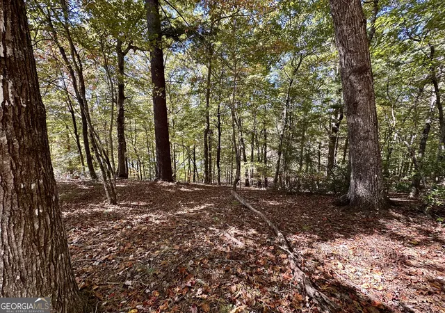 3rd image of 0 Forked Leaf Rd, Cleveland, GA 30528 | MLS# 10594626