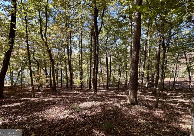 4th image of 0 Forked Leaf Rd, Cleveland, GA 30528 | MLS# 10594626