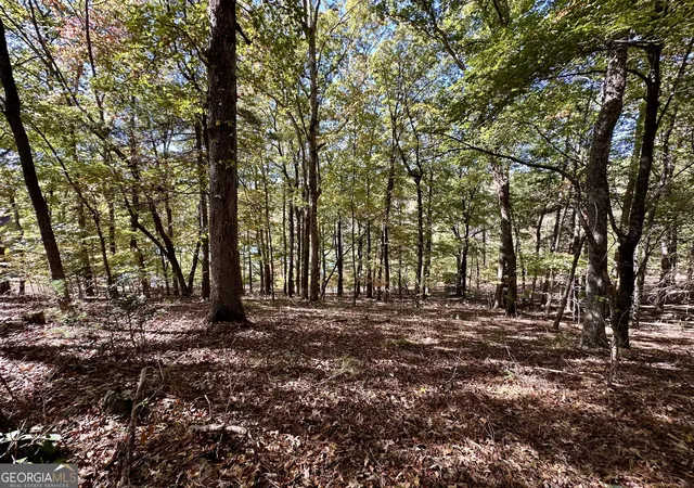 5th image of 0 Forked Leaf Rd, Cleveland, GA 30528 | MLS# 10594626