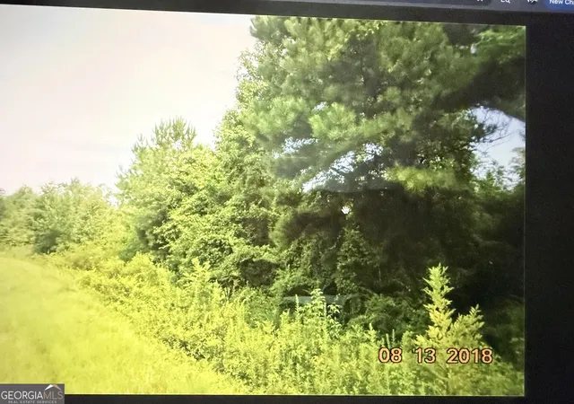 Photo 1 of Land for sale at C017 020 Whitaker Rd, Roberta, GA 31078 | MLS# 10807300 | Listing updated on 2026-07-30