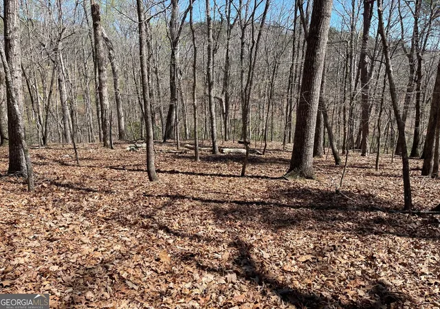 Homes for sale in Ball Ground, GA | Lot 10 Olivia Lane, Ball Ground, GA 30107 | MLS# 10705036