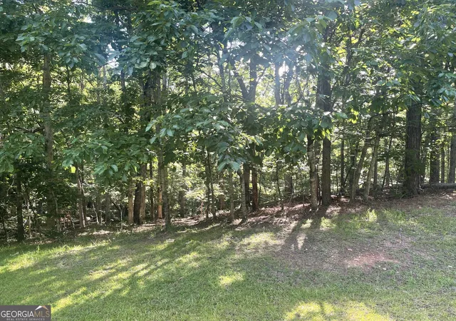 Homes for sale in Ball Ground, GA | Lot 10 Olivia Lane, Ball Ground, GA 30107 | MLS# 10705036
