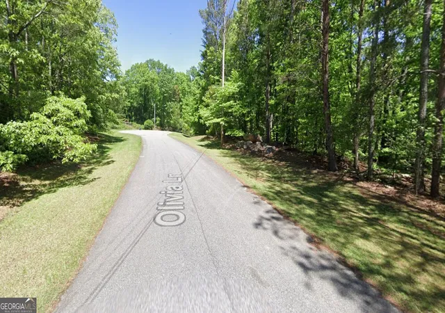 Homes for sale in Ball Ground, GA | Lot 10 Olivia Lane, Ball Ground, GA 30107 | MLS# 10705036