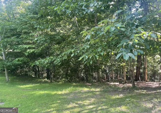 Homes for sale in Ball Ground, GA | Lot 10 Olivia Lane, Ball Ground, GA 30107 | MLS# 10705036