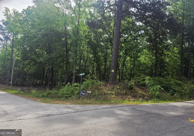 Homes for sale in Sparta, GA | 0 Island Creek, Sparta, GA 31087 | MLS# 10740270