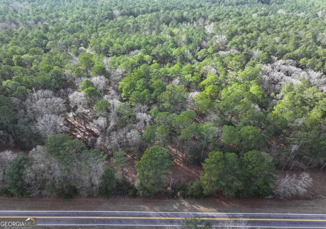 Homes for sale in Pine Mountain, GA | Lot 1 Salem Rd, Pine Mountain, GA 31822 | MLS# 10793200