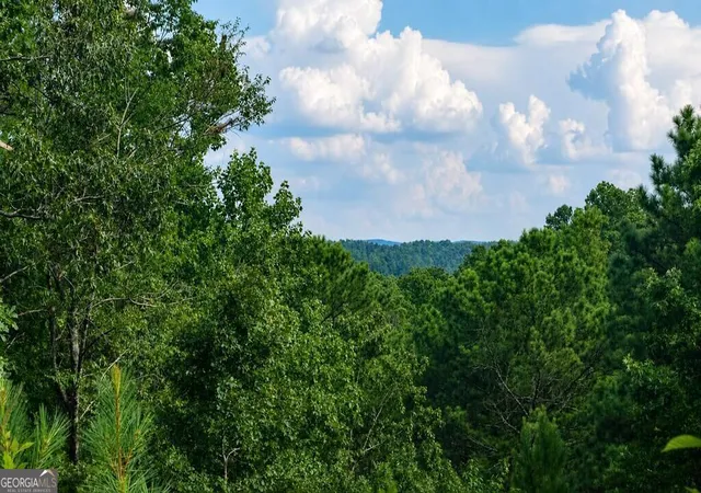 Photo 1 of Land for sale at Lt 160 Shallow Water Trl, Talking Rock, GA 30175 | MLS# 10836482 | Listing updated on 2026-09-14