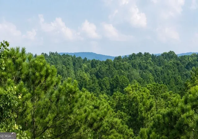 Photo 2 of Land for sale at Lt 160 Shallow Water Trl, Talking Rock, GA 30175 | MLS# 10836482 | Listing updated on 2026-09-14