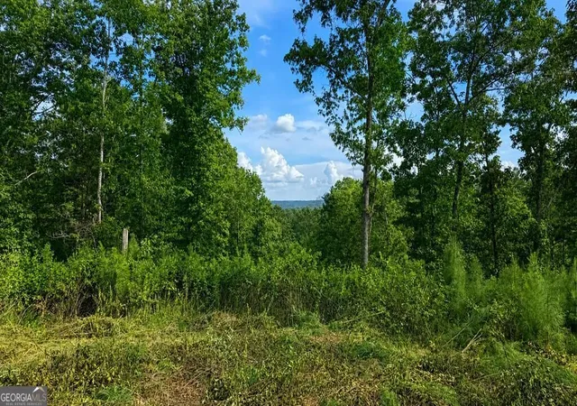 Photo 3 of Land for sale at Lt 160 Shallow Water Trl, Talking Rock, GA 30175 | MLS# 10836482 | Listing updated on 2026-09-14