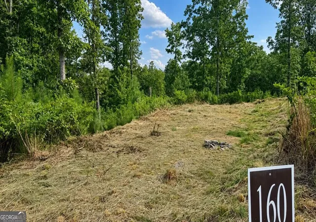 Photo 3 of Land for sale at Lt 160 Shallow Water Trl, Talking Rock, GA 30175 | MLS# 10836482 | Listing updated on 2026-09-14