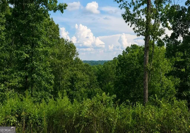 Photo 4 of Land for sale at Lt 160 Shallow Water Trl, Talking Rock, GA 30175 | MLS# 10836482 | Listing updated on 2026-09-14