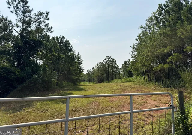 Photo 4 of Land for sale at 4066 Green Grv Rd, Lumpkin, GA 31815 | MLS# 10818022 | Listing updated on 2026-08-17