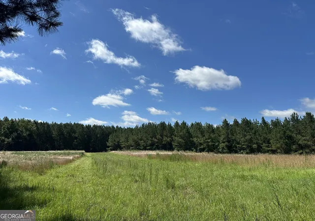 83rd image of 3330 Callaway Rd, Union Point, GA 30669 | MLS# 10792699