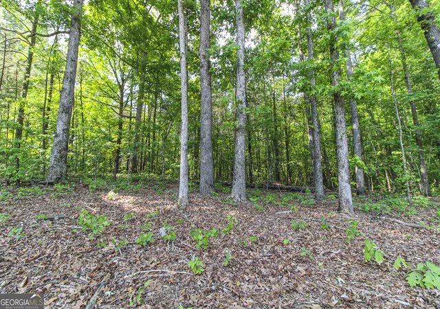 18th image of 0 Mccarty Rd, Statham, GA 30666 | MLS# 10756539