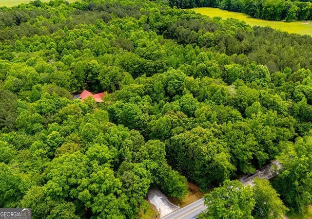 Homes for sale in Bowdon, GA | 695 N Jonesville Rd, Bowdon, GA 30108 | MLS# 10761989
