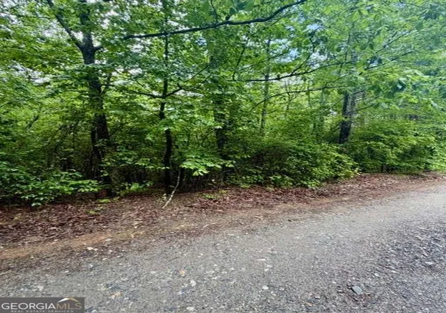 4th image of 00 Soaring Hawk Trl, Cleveland, GA 30528 | MLS# 10760519
