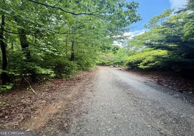 5th image of 00 Soaring Hawk Trl, Cleveland, GA 30528 | MLS# 10760519