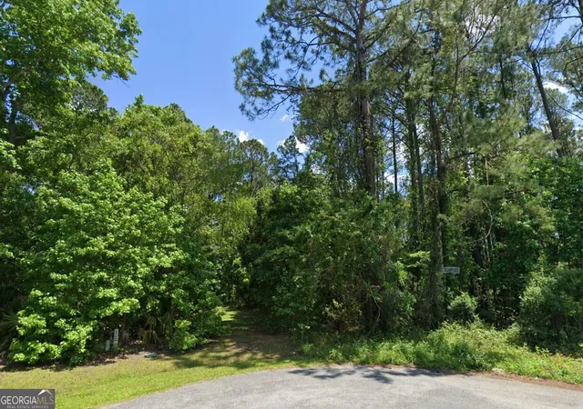 Homes for sale in St. Marys, GA | 185 Richards Ct, St. Marys, GA 31558 | MLS# 10791307