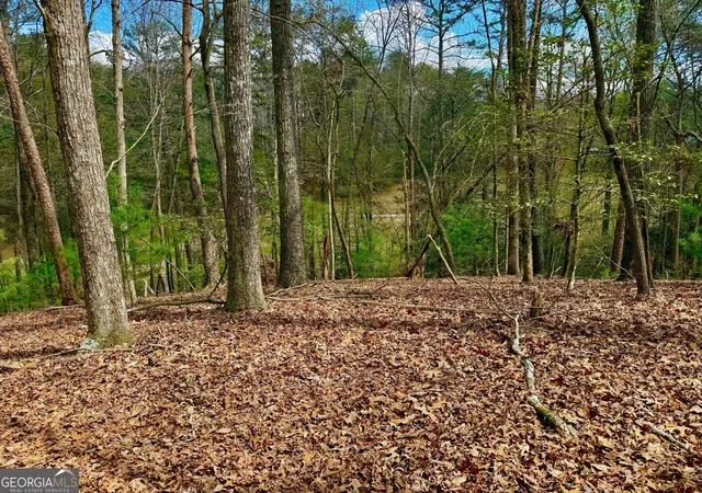 Photo 1 of Land for sale at 739 Hiawassee Ct, Ellijay, GA 30540 | MLS# 10726359 | Listing updated on 2026-10-05