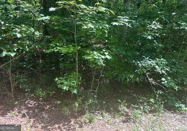 3rd image of 57 Dogwood Trl, Martin, GA 30557 | MLS# 10737104