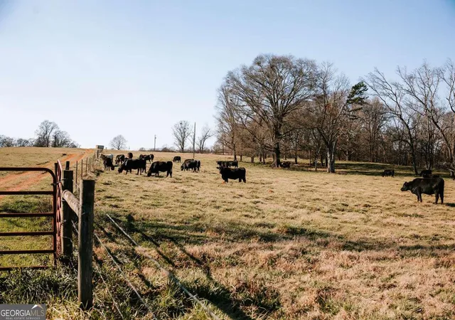 Photo 1 of Land for sale at 0 Ralph Bridges Rd, Lexington, GA 30648 | MLS# 10756130 | Listing updated on 2026-05-16