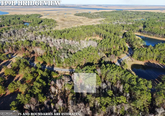 Photo 3 of Land for sale at Lot 388 Brg View Ln, Waverly, GA 31565 | MLS# 10677935 | Listing updated on 2026-02-06