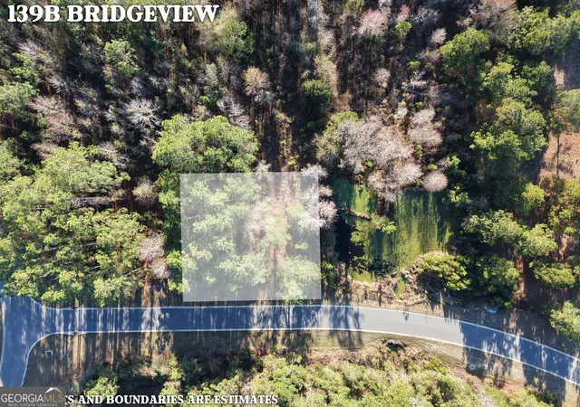 Photo 4 of Land for sale at Lot 388 Brg View Ln, Waverly, GA 31565 | MLS# 10677935 | Listing updated on 2026-02-06