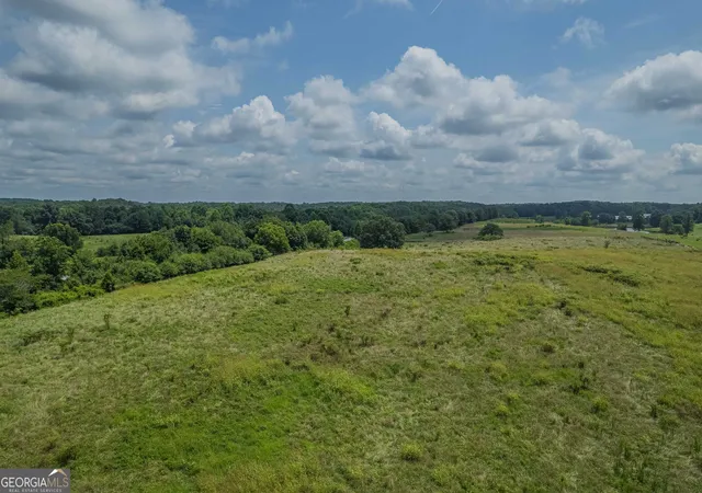 Homes for sale in Mount Airy, GA | 20 Acres Sthighway 365, Mount Airy, GA 30563 | MLS# 10780933