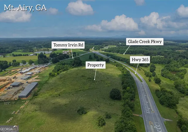 Homes for sale in Mount Airy, GA | 20 Acres Sthighway 365, Mount Airy, GA 30563 | MLS# 10780933