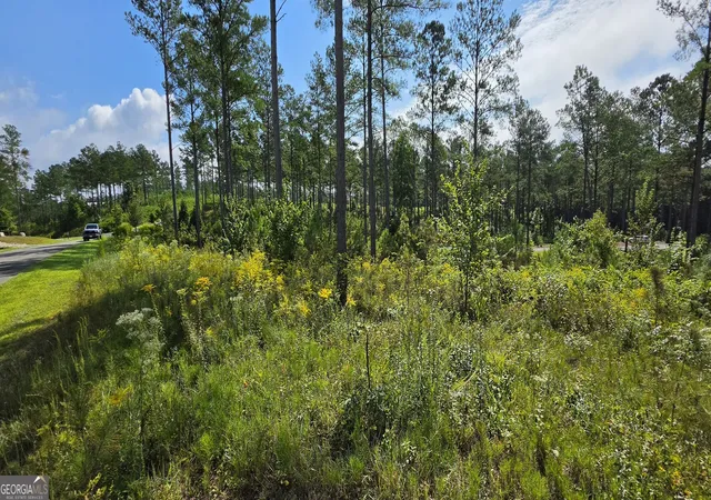 Photo 2 of Land for sale at Lot 65 High River Lndg, Ellijay, GA 30540 | MLS# 10827405 | Listing updated on 2026-08-31