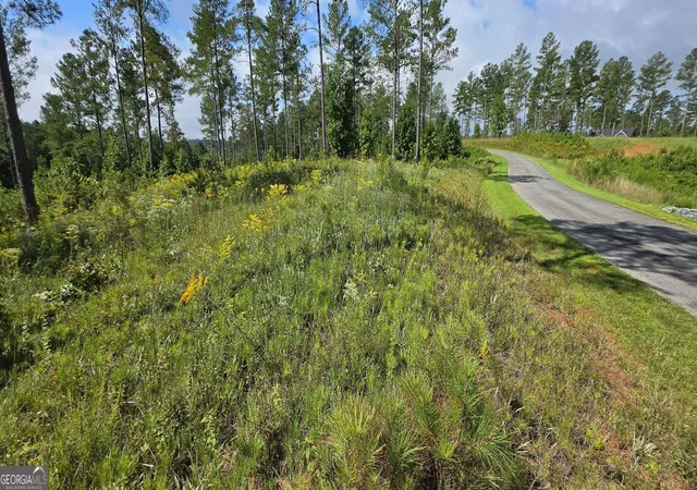 Photo 3 of Land for sale at Lot 65 High River Lndg, Ellijay, GA 30540 | MLS# 10827405 | Listing updated on 2026-10-04