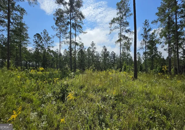 Photo 3 of Land for sale at Lot 65 High River Lndg, Ellijay, GA 30540 | MLS# 10827405 | Listing updated on 2026-10-04