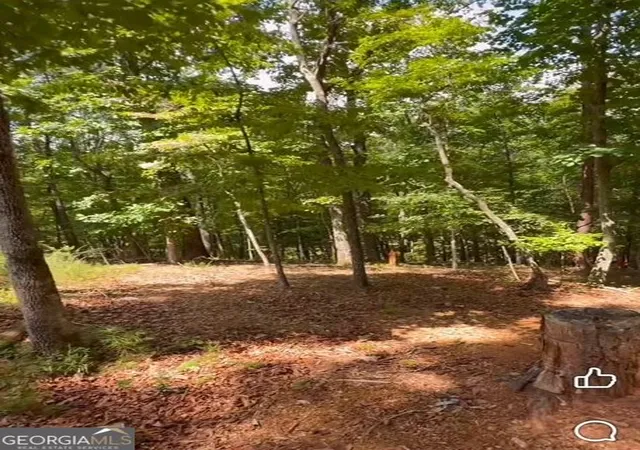 Photo 3 of Land for sale at 0 Rusty G Pl, Dawsonville, GA 30534 | MLS# 10829015 | Listing updated on 2026-10-01