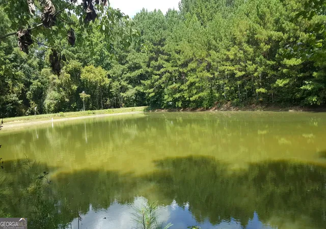 Photo 3 of Single family home for sale at 260 Lamar Smith Dr, Newnan, GA 30263 | MLS# 10803945 | Listing updated on 2026-10-03