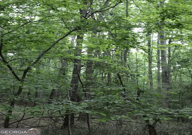 Photo 3 of Land for sale at 1135 Mount Moriah Rd, Auburn, GA 30011 | MLS# 10836038 | Listing updated on 2026-10-07
