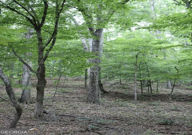 Photo 3 of Land for sale at 1135 Mount Moriah Rd, Auburn, GA 30011 | MLS# 10836038 | Listing updated on 2026-10-07