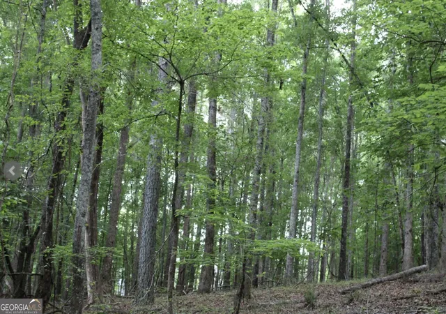Photo 4 of Land for sale at 1135 Mount Moriah Rd, Auburn, GA 30011 | MLS# 10836038 | Listing updated on 2026-10-07
