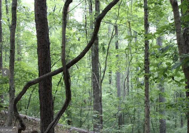 Photo 6 of Land for sale at 1135 Mount Moriah Rd, Auburn, GA 30011 | MLS# 10836038 | Listing updated on 2026-09-13