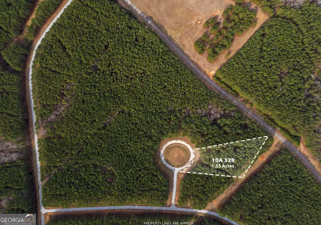 Land for sale at 1325 Magnolia Ct, Tignall, GA 30668 | MLS# 10823962