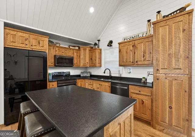 5th image of 54 Barbs Wy, Mineral Bluff, GA 30559 | MLS# 10781904
