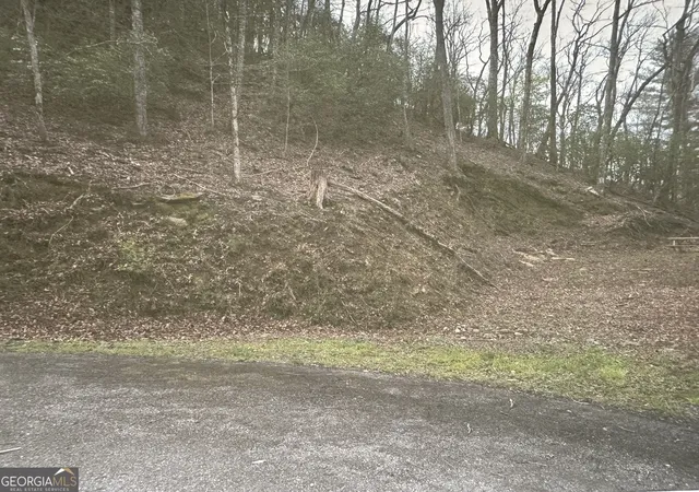 Photo 3 of Land for sale at Lot 3 Buckhead Hills, Hiawassee, GA 30546 | MLS# 10757513 | Listing updated on 2026-09-14