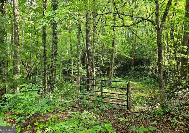 Photo 4 of Land for sale at 0 Toole St, Clayton, GA 30525 | MLS# 10538991 | Listing updated on 2026-06-11