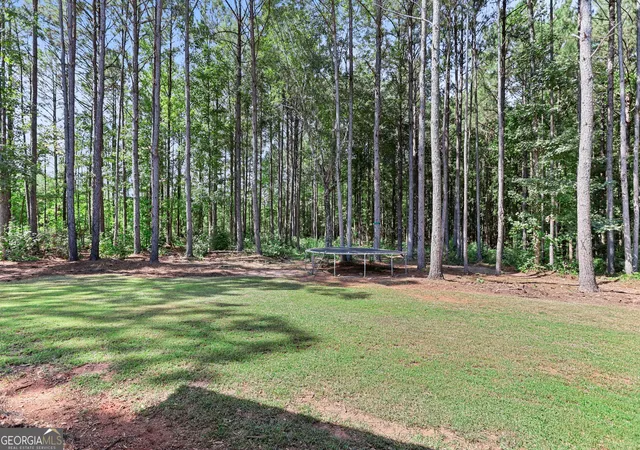 24th image of 3290 Trammell Bottom Rd, Hogansville, GA 30230 | MLS# 10834583