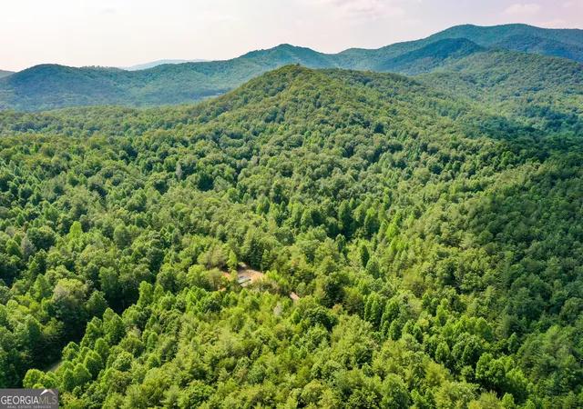 Photo 3 of Land for sale at 0 Flagpole Cir, Ellijay, GA 30540 | MLS# 10805436 | Listing updated on 2026-07-28