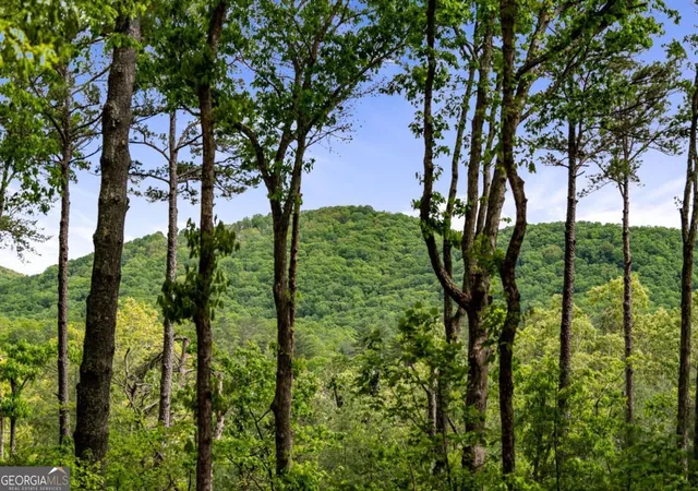 2nd image of 245 Old Anderson Crk, Ellijay, GA 30536 | MLS# 10789377