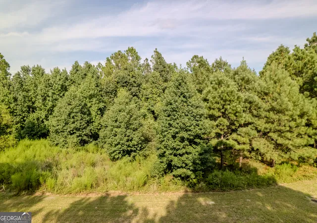 Photo 3 of Land for sale at Lot 192 Bridge View Ln, Waverly, GA 31565 | MLS# 10613363 | Listing updated on 2026-09-30