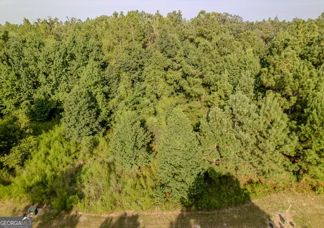 Photo 4 of Land for sale at Lot 192 Bridge View Ln, Waverly, GA 31565 | MLS# 10613363 | Listing updated on 2026-09-30